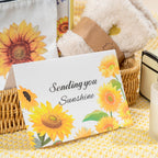 TOYIYAR Birthday Gifts for Women, Self-Care Gift Box for Women - Sunshine & S... - Insatiable Sensations